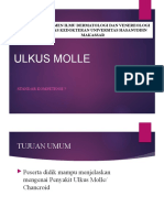 Ulkus Molle