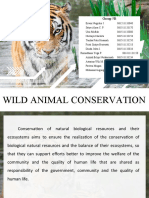 Tugas Etika WILD ANIMAL CONSERVATION