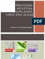 Kapang, Ricketsia, Mikoplasma, Virus, Algae