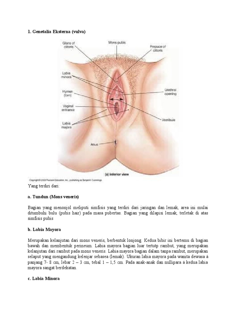 Permdagi arzon fohishalar