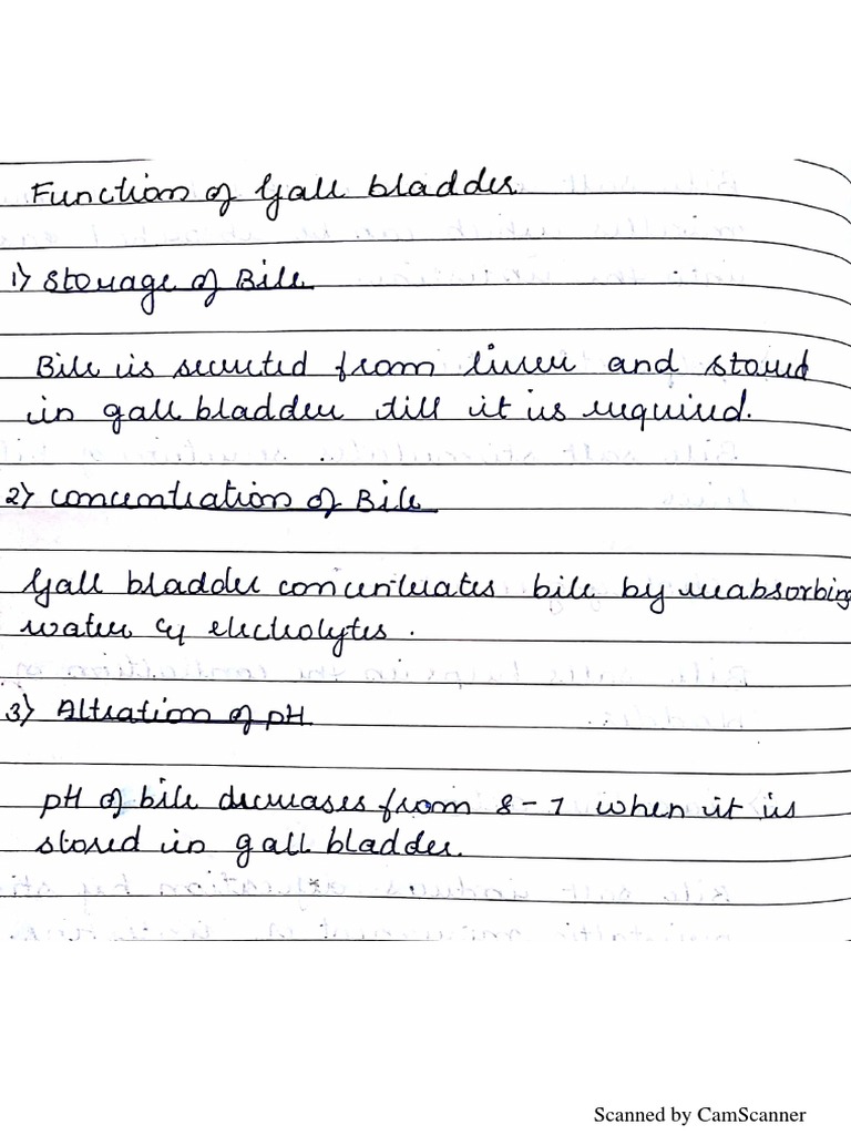 Gall Bladder | PDF