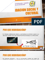 Clase 5 Hibridacion Social y Cultural