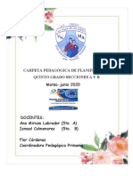 Carpeta Pedagogica de Planificacion Quinto Grado Covid19