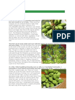 Pajo Fruit Article