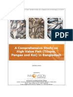 Comprehensive Study of High Value Fish Tilapia Pangas and Koi in Bangladesh 1