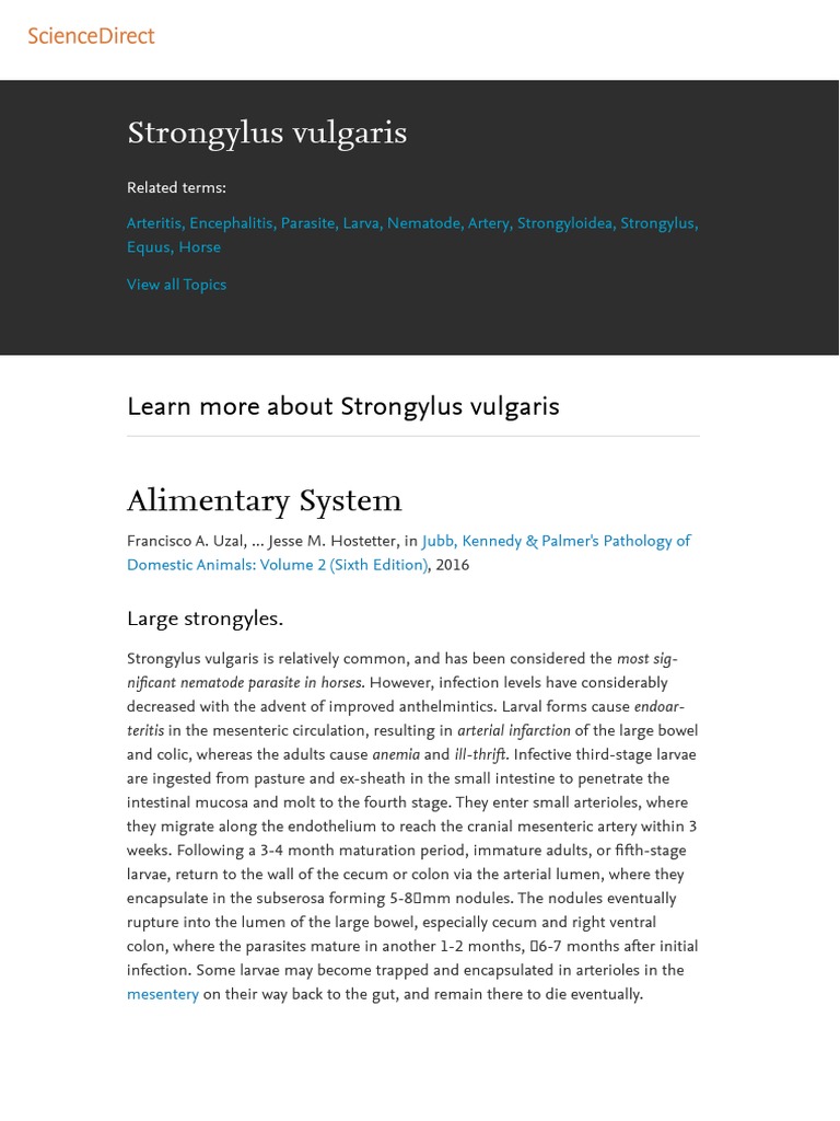 Strongylus Vulgaris Ova