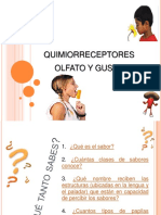 Quimiorreceptores 1 PDF