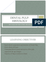 Dental Pulp: Histology: DR Saqlain Bin Syed Gilani