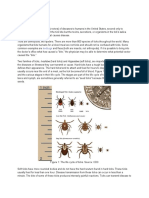 Ticks Overview