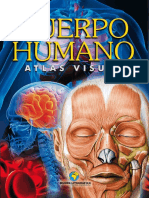 Cuerpo Humano PDF