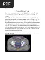 Prostate Fossa Contouring Guide | PDF | Prostate | Urinary Bladder