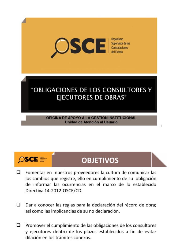 Obligaciones de Consultores y Ejecutores de Obra | PDF | Gobierno