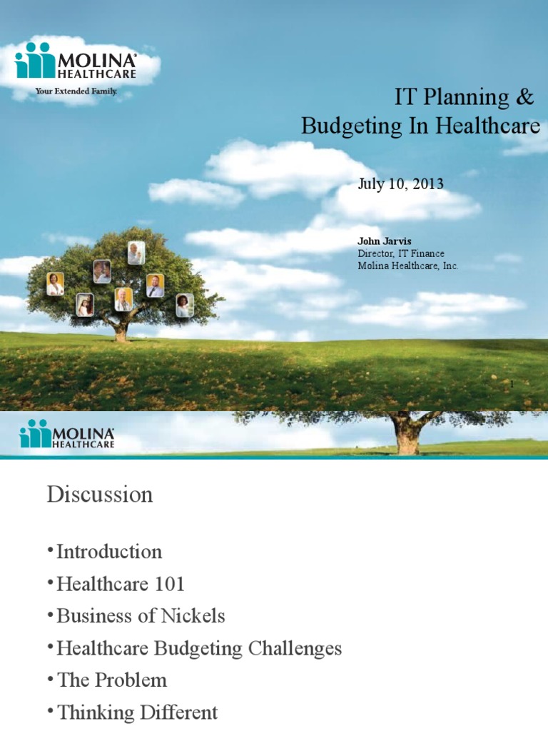 Healthcare IT Budgeting Strategies | PDF | Medicaid | Health Care