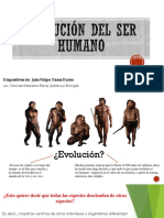 Evolución Del Ser Humano