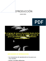 Aguas - Frias - Sesión 4.1 Reproducción PDF