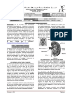 Ciencias IV-702-Mireya Rodriguez PDF