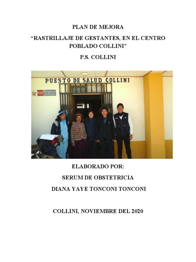 Plan de Mejora | PDF | Muerte materna | El embarazo
