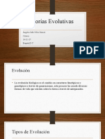 Teorías Evolutivas