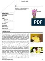 Stigma (Botany) Family PDF