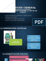 Cuestion Criminal PDF