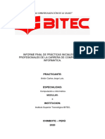 Informe de Practicas Pre Profesionales MODULAR II