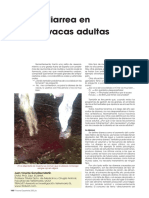 Diarrea Vacas PDF