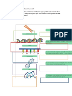 Cómo Se Relaciona El ADN Con La Herencia
