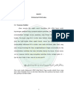 Bab 2 PDF