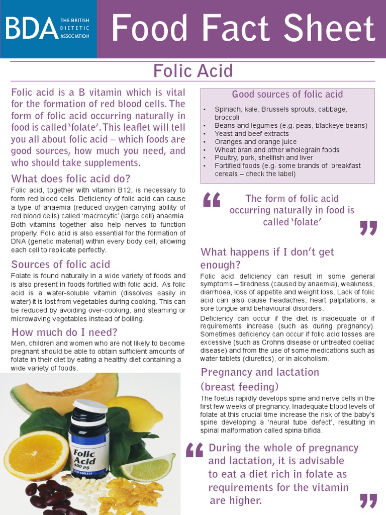 Folic Acid Bda Food Fact Sheet PDF Vitamin Pregnancy
