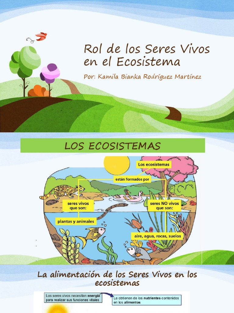 Rol de los Seres Vivos en Ecosistemas | PDF | Plantas | Organismos