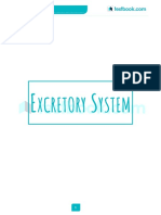 Excretory System - English+hindi - 1561800293 - English - 1579004850