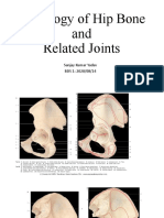 Osteology of HIP BONE and Related Joint