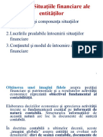 Situatii Financiare