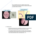 Word SP Tropis Modul II