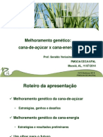 02 Melhoramento Genético Da Cana-De-Açúcar-Açúcar X Energia - Geraldo Veríssimo