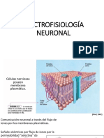 2) Clase Electrofisio, Señalizacion Interior, Plasticidad