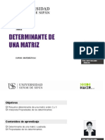 DETERMINANTES PARTE I diapositivas