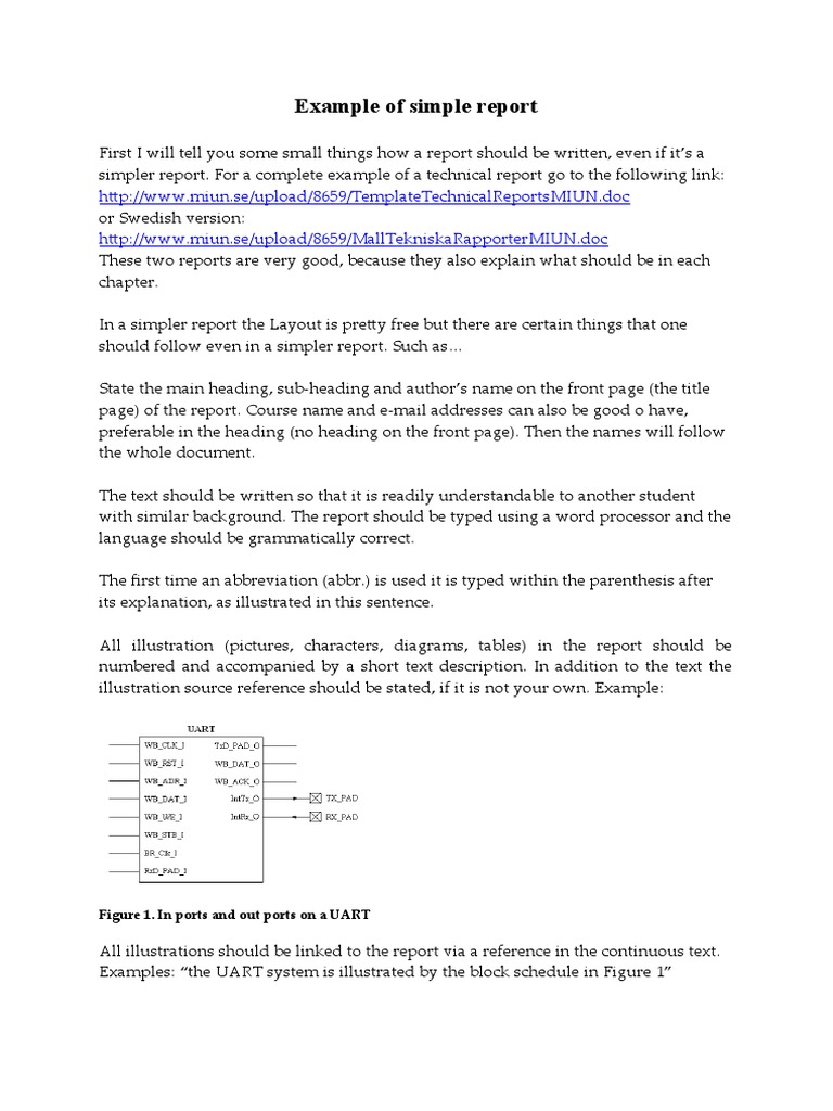 Example of A Simple Report | PDF | Physics | Teaching Mathematics