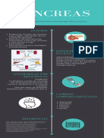 Infografía Páncreas