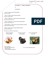 fisa-sunetul-l-emitere-si-consolidare(1)(1)(1).pdf