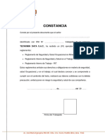 Formato de Entrega PDF
