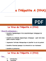 I - 2 - Le Virus de L'hépatite A (VHA) .
