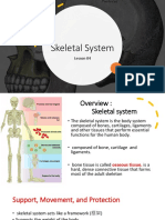 Skeletal System