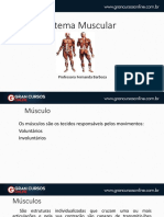 Sistemamuscular PDF