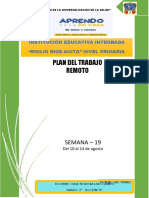 Plan Remoto Semana19