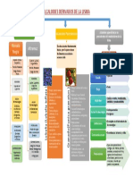 Alcaloides Derivados de La Lisina PDF