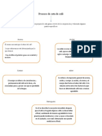 Proceso de Cata de Café