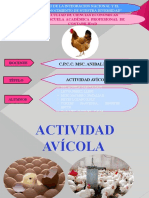 Empresa Avicola