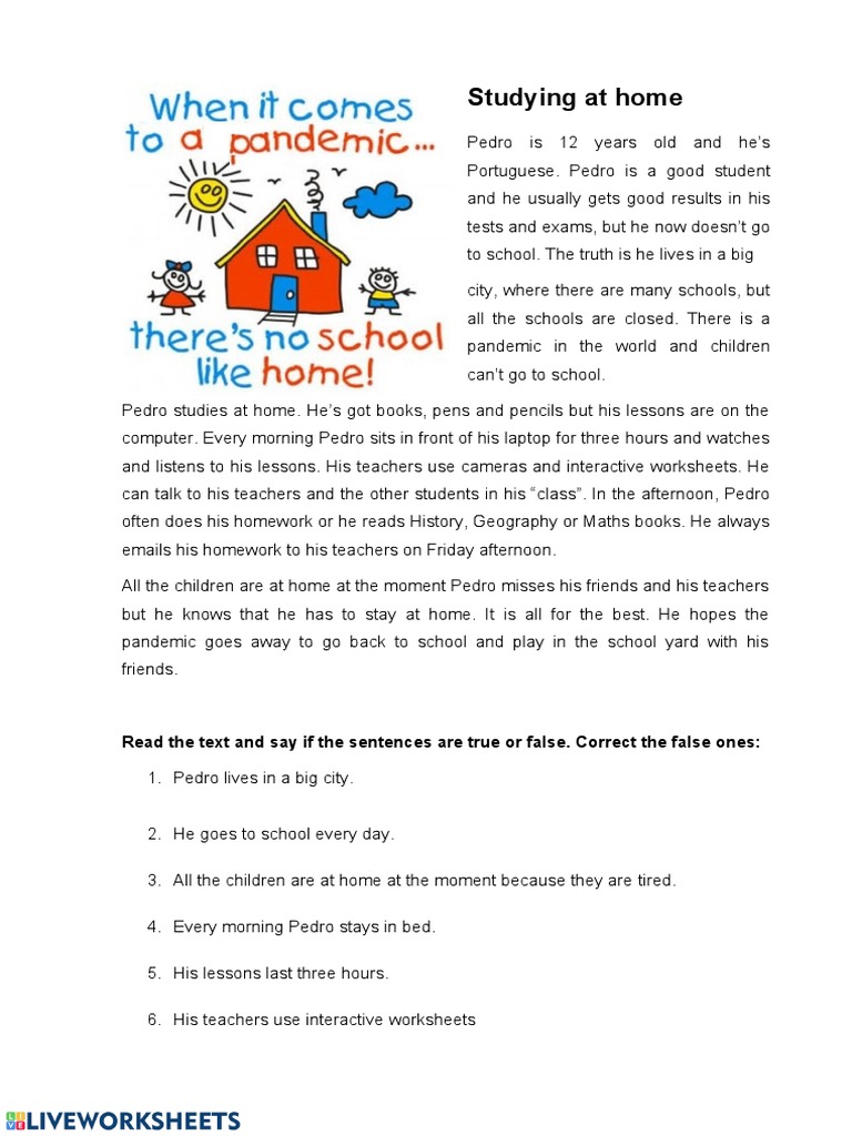Studyng At Home Pdf Homework Learning
