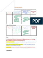 Esquema Causal de Anemia